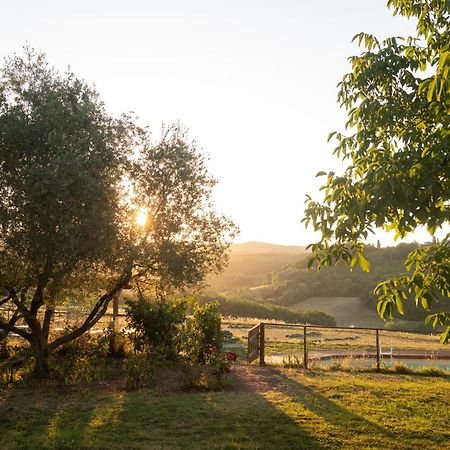Agriturismo Le Tre Pietre - Podere Nel Chianti Quercegrossa Zewnętrze zdjęcie