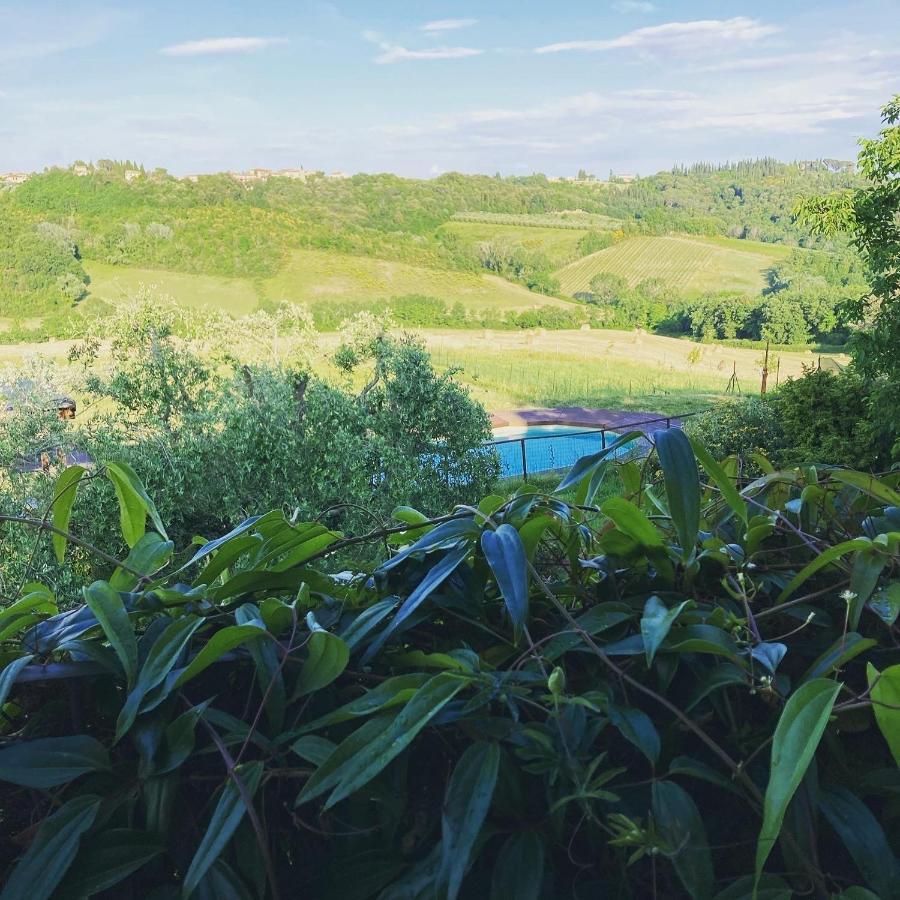 Agriturismo Le Tre Pietre - Podere Nel Chianti Quercegrossa Zewnętrze zdjęcie