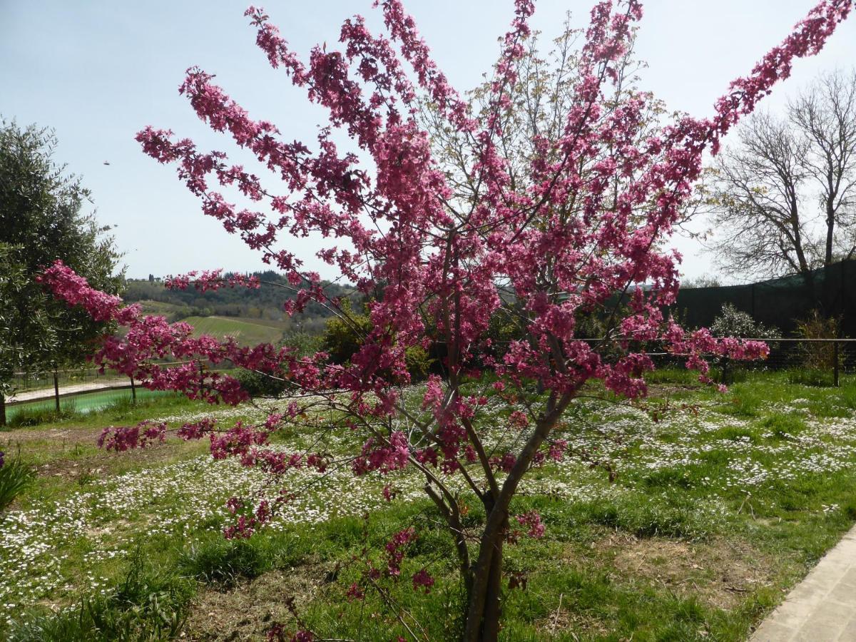 Agriturismo Le Tre Pietre - Podere Nel Chianti Quercegrossa Zewnętrze zdjęcie
