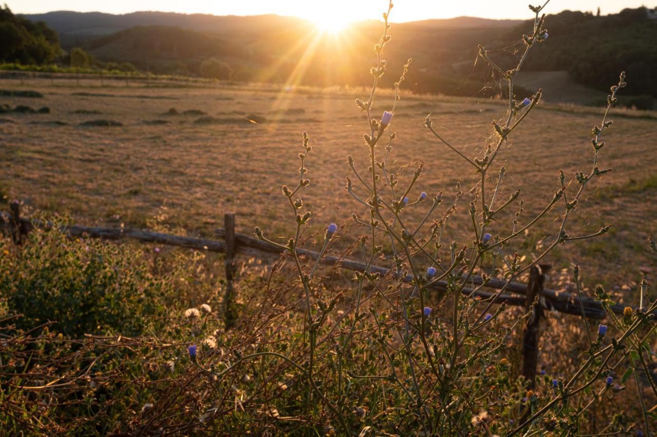 Agriturismo Le Tre Pietre - Podere Nel Chianti Quercegrossa Zewnętrze zdjęcie