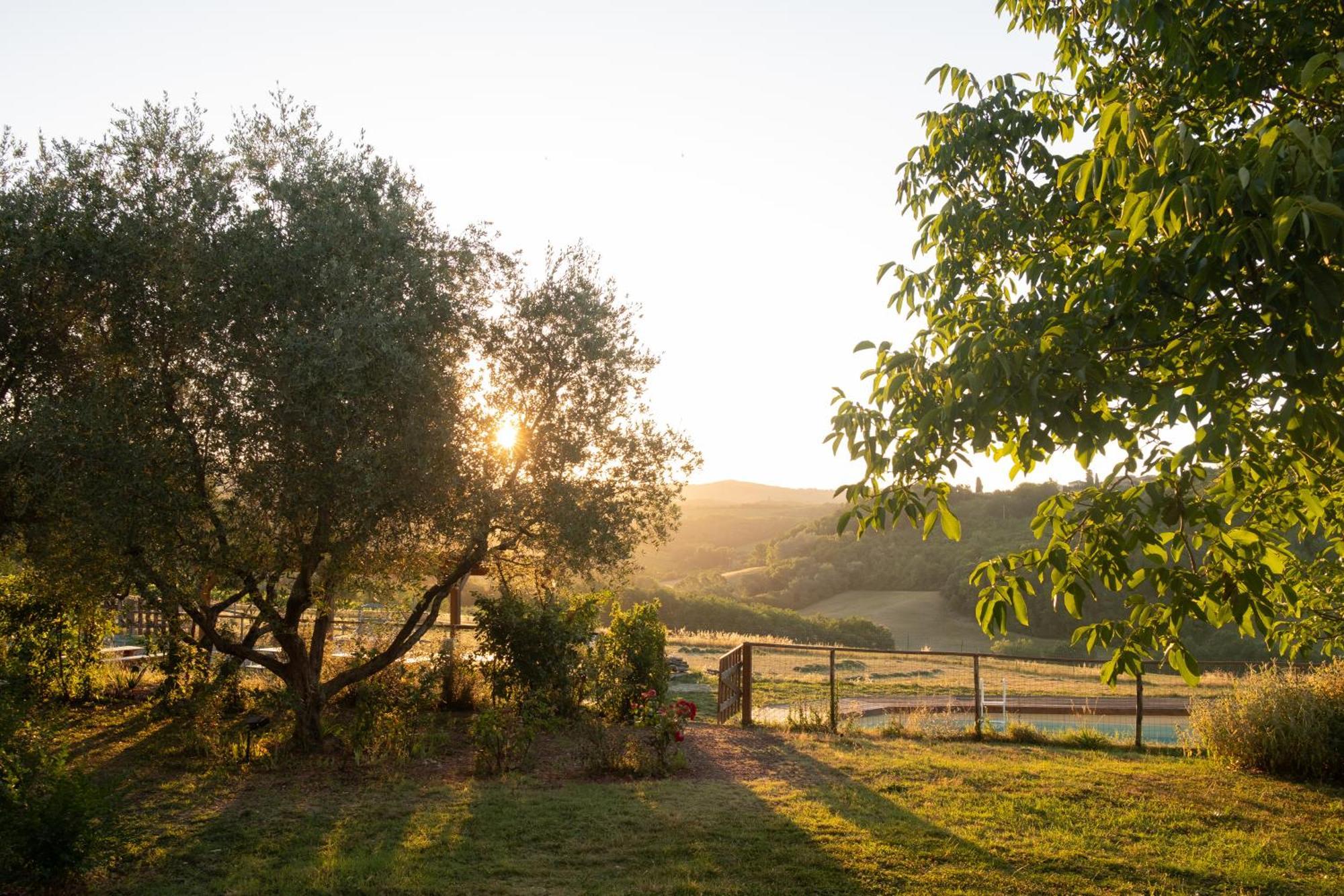 Agriturismo Le Tre Pietre - Podere Nel Chianti Quercegrossa Zewnętrze zdjęcie