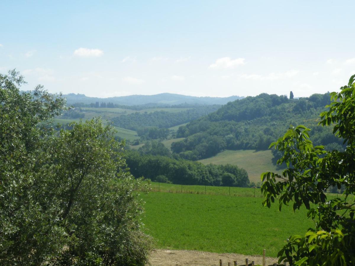 Agriturismo Le Tre Pietre - Podere Nel Chianti Quercegrossa Zewnętrze zdjęcie