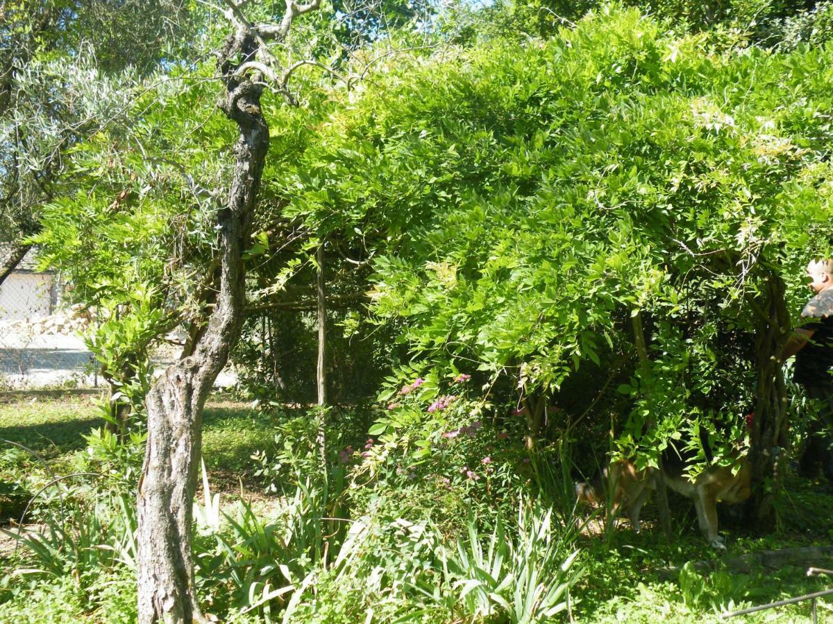 Agriturismo Le Tre Pietre - Podere Nel Chianti Quercegrossa Zewnętrze zdjęcie